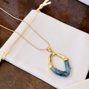 Home collar 17