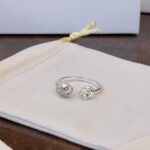 anillo 7