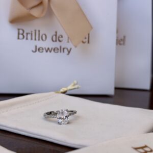 anillo 10