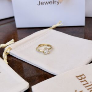 anillo 11